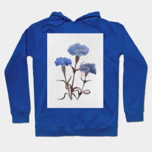 watercolor and sumiE ink cornflowers Hoodie